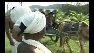 Si Negras da senzala